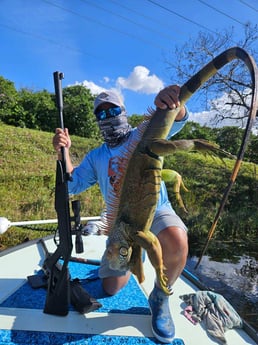 Iguana Fishing in Miramar Beach, Florida