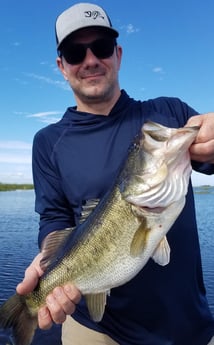 Largemouth Bass fishing in Fort Lauderdale, Florida