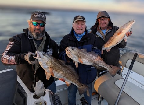 Redfish Fishing in Sulphur, Louisiana