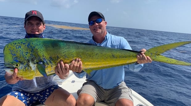 Mahi Mahi / Dorado Fishing in Tampa, Florida