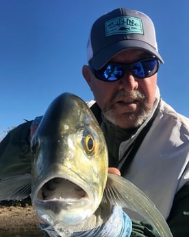 fishing in , Hudson, FL