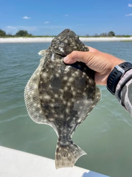 Flounder fishing in Wrightsville Beach, North Carolina