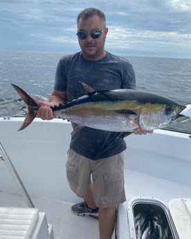 Blackfin Tuna fishing in Destin, Florida