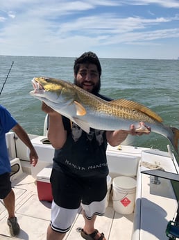 Redfish fishing in Galveston, Texas