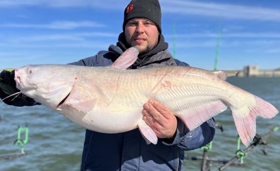 Blue Catfish Fishing in Dallas, Texas