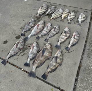 Fishing in Port Orange, Florida