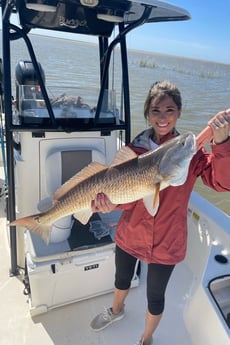 Sheepshead, Speckled Trout / Spotted Seatrout fishing in Venice, Louisiana