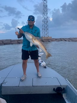 Redfish fishing in Port O&#039;Connor, Texas