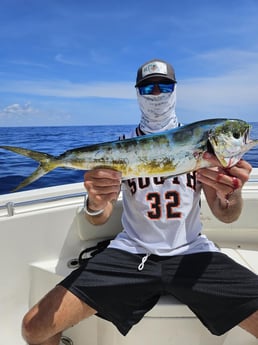 Mahi Mahi Fishing in Fort Lauderdale, Florida