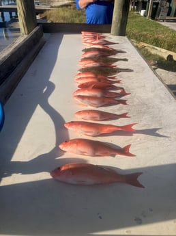 Fishing in Pensacola Beach, Florida