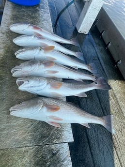 Fishing in Rockport, Texas