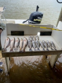 Fishing in Port O&#039;Connor, Texas