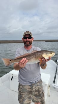 Black Drum, Redfish fishing in Port O&#039;Connor, Texas