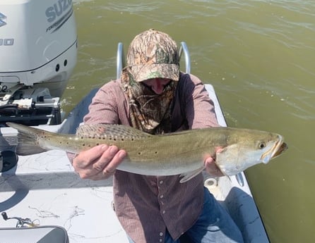 Speckled Trout / Spotted Seatrout fishing in Matagorda, Texas