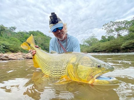 Golden Dorado fishing in Santa Cruz Dela Sierra, Bolivia