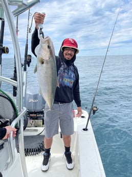 Sheepshead fishing in Pensacola, Florida