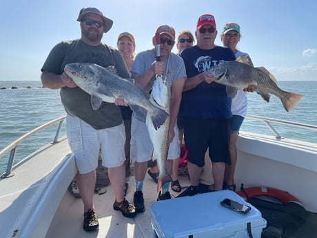 Black Drum fishing in Galveston, Texas