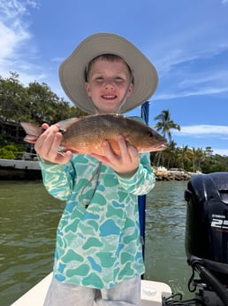 Fishing in Sarasota, Florida