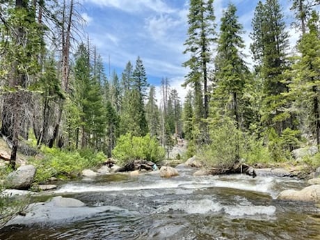 Fishing in Hume, California