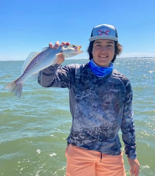 Speckled Trout / Spotted Seatrout fishing in Galveston, Texas