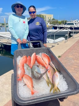 Amberjack, Vermillion Snapper, Yellowtail Snapper Fishing in Key West, Florida