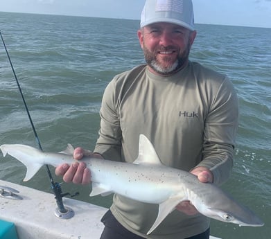 Bonnethead Shark fishing in Corpus Christi, Texas