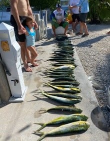 Mahi Mahi / Dorado fishing in Marathon, Florida