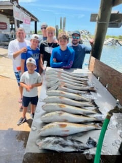 Black Drum, Redfish fishing in Galveston, Texas