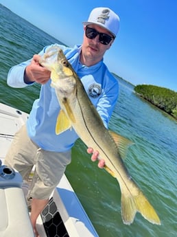 Snook fishing in Fort Myers, Florida