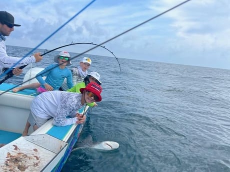 Blacktip Shark Fishing in Daytona Beach, Florida