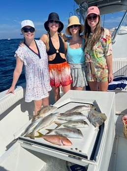 Scup, Yellowtail Snapper Fishing in Jupiter, Florida