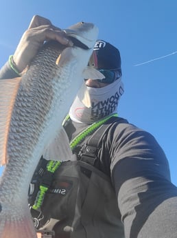 Redfish Fishing in Galveston, Texas