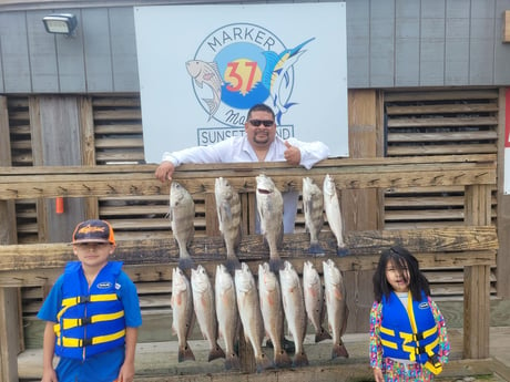 Black Drum, Redfish, Speckled Trout / Spotted Seatrout fishing in Corpus Christi, Texas