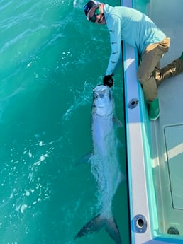 Tarpon Fishing in Marathon, Florida