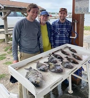 Mangrove Snapper, Sheepshead Fishing in Jacksonville, Florida