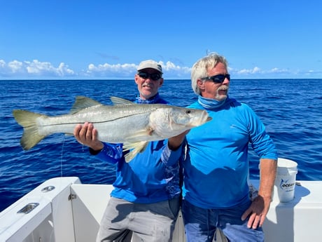 Snook Fishing in Islamorada, Florida