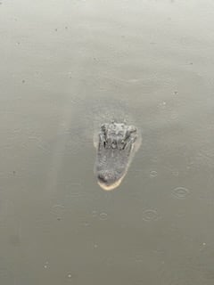 Fishing in Boothville-Venice, Louisiana