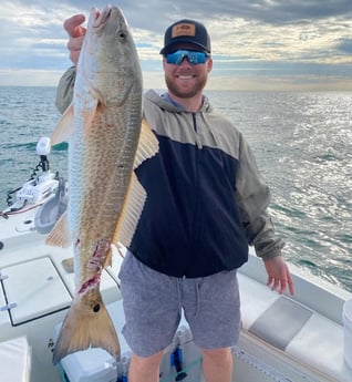 Redfish Fishing in St. Petersburg, Florida