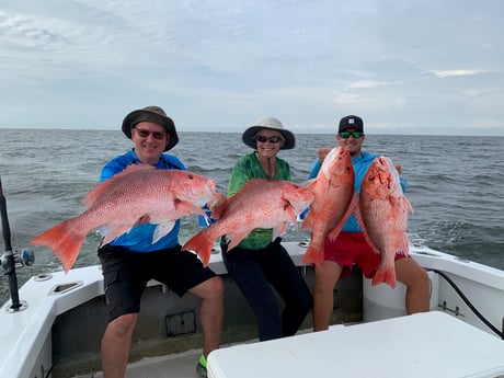 Red Snapper fishing in Biloxi, Mississippi