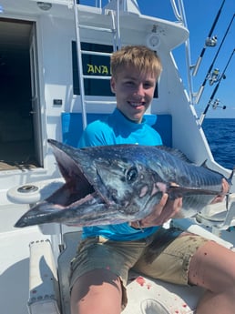 Cero Mackerel fishing in Marathon, Florida