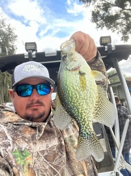 Crappie Fishing in Crystal River, Florida