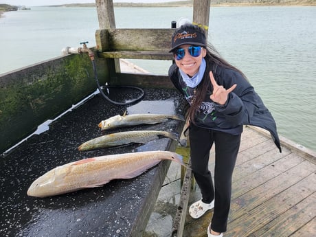 Redfish Fishing in Rio Hondo, Texas