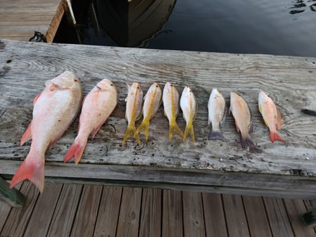 Fishing in Key Largo, Florida