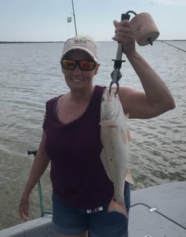 Redfish fishing in Port O&#039;Connor, Texas