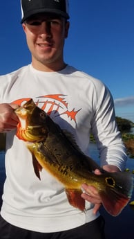 Peacock Bass Fishing in Fort Lauderdale, Florida