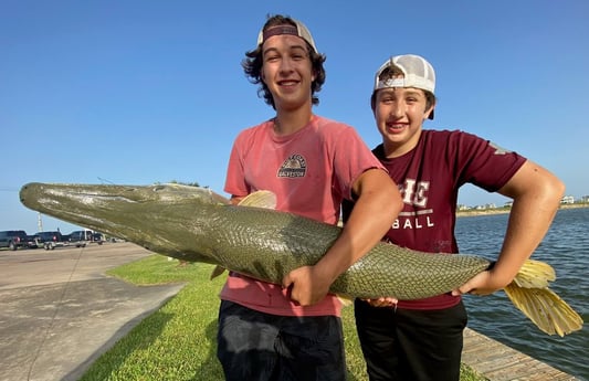 Alligator Gar fishing in Galveston, Texas