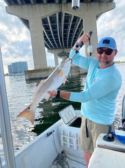 Redfish Fishing in Orange Beach, Alabama