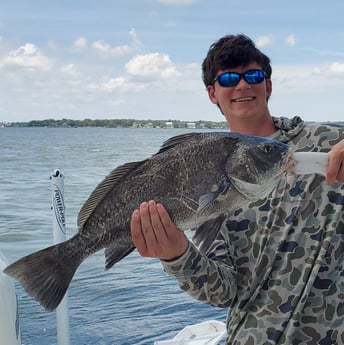 Black Drum fishing in Mount Pleasant, South Carolina