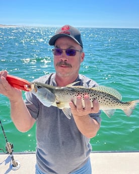 Speckled Trout / Spotted Seatrout Fishing in Jacksonville, Florida