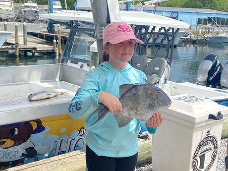 Triggerfish Fishing in Destin, Florida